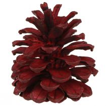 Artikel Sorte fyrrekogler Bordeaux dekorative kogler rød 6-8cm 6 stk