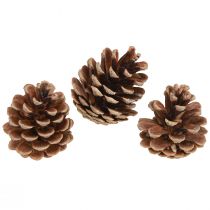 Artikel Sorte fyrrekogler naturlige dekorative kogler 5-8cm 250g