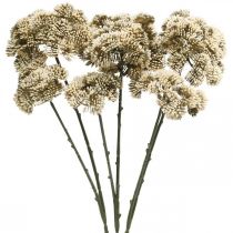 Artikel Sedum kunstig blomst sedum creme blomst dekoration efterår 70cm 3stk