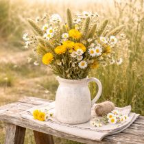 Artikel Tørrede blomster af hirse (Setaria) til rustikt og stilfuldt boligtilbehør 75 cm 220 g