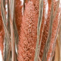 Artikel Setaria børstehårs hirse tør dekoration laks 69cm 70-75g x 2stk