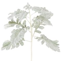 Artikel Kunstig Senecio-gren, sølvblad, detaljeret udført, 45 cm, 3 stk.