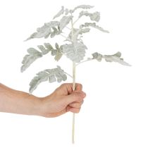 Artikel Kunstig Senecio-gren, sølvblad, detaljeret udført, 45 cm, 3 stk.