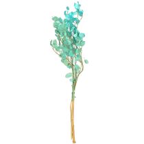 Artikel Tørret sølvblad Lunaria lyseblå 65-70 cm 20 g