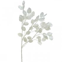 Dekorativ gren sølvblad hvid Lunaria gren kunstig gren 70cm