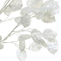 Dekorativ gren sølvblad hvid Lunaria gren kunstig gren 70cm