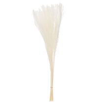 Artikel Tørrede blomster, sølvgræs. Elegant naturlig dekoration til hjem og kontor. 70 cm, 10 stk.