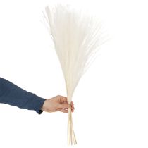 Artikel Tørrede blomster, sølvgræs. Elegant naturlig dekoration til hjem og kontor. 70 cm, 10 stk.