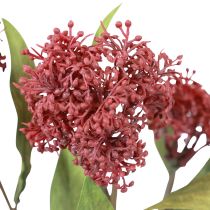 Artikel Skimmie Skimmia Japonica kunstige blomster Burgundy DryLook L59cm