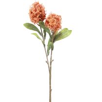Artikel Skimmie Skimmia Japonica kunstige blomster Orange DryLook L59cm