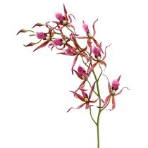 Spider orkideer pink-orange 108 cm 3stk