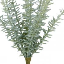 Sprengerie Prydasparges Kunstige Planter Grøn 23cm 4stk