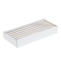 Artikel Gennemfarvede stagelys i lyseguld 22×240 mm - 12 stk