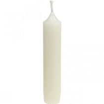 Stanglys korte Stearinlys creme til arrangement Ø22/110mm 6stk