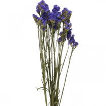 Bunt havlavendel, tørrede blomster, havlavendel, Statice Tatarica Blå L46–57 cm 23g
