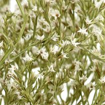 Artikel Havlavendel Statice Tatarica tørrede blomster naturlig 2kg