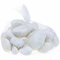 Artikel River Pebbles Natural White 3-5cm 1kg