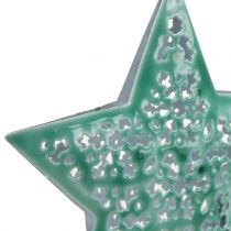 Artikel Stjernemyntegrøn til hængning af 9,5 cm 1p