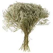 Artikel Tørrede blomster strand lavendel Statice 2kg naturlig dekoration