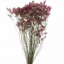 Artikel Statice, Hav Lavendel, Tørret Blomst, Vildblomst Bunch Pink L52cm 23g