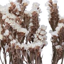 Artikel Beach Lilac White Limonium Tørrede Blomster 60cm 35g