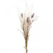 Artikel Valmue kapsler dekorative tørrede blomster kunstig bregne creme 63cm