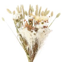 Artikel Buket tørrede blomster stråblomster korn hvid 55cm
