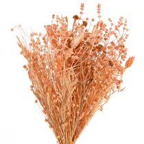 Artikel Buket tørrede blomster orange abrikos tør buket 45cm 80g