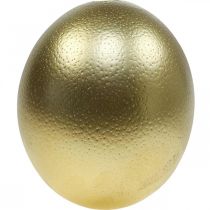 Artikel Strudseæg dekoration udblæst påskedekoration guld Ø12cm H14cm