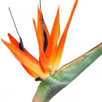 Strelizie reginae kunstig blomst orange paradisfugl L85cm