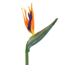 Strelitzia Bird of Paradise Kunstig 98cm