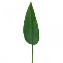 Strelitzia Papegøje Blomst Dekorativ Blad Strelitzia Blad Grøn L81cm