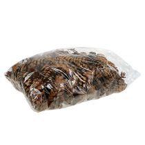 Artikel Strobus kegler 10-15cm malet 100 stk