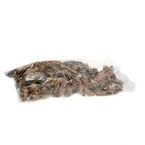 Artikel Strobus kegler 15 - 20cm malet 100 stk