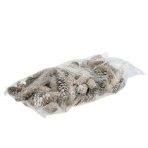 Artikel Strobus kegler 15cm - 20cm hvidvaskede 50 stk