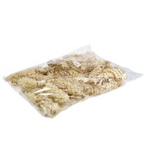 Artikel Strobus bleget 15cm-20cm 50 stk