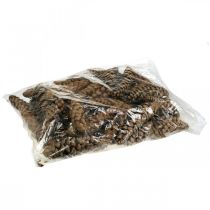 Artikel Fyrrekogler Hvid fyrretræ Strobus Naturlig Blandet 2,5kg