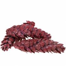 Artikel Strobus kegler naturlig dekoration rød 15cm - 20cm 50 stk