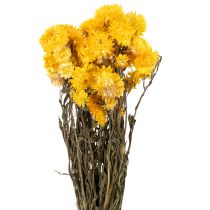 Artikel Tørrede gule stråblomster (Helichrysum) buket, 100 g