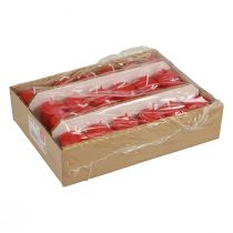 Artikel Søjlelys røde adventslys små lys 60/40mm 24 stk