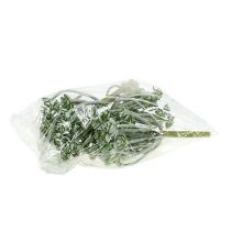 Artikel Sukkulent Echeveria 17cm Grå 3 stk