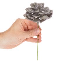 Artikel Kunstige sukkulenter voksblomster dekoration 10 cm 6 stk.