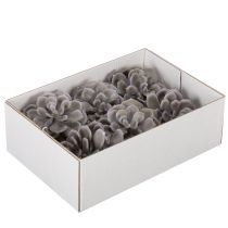 Artikel Kunstige sukkulenter voksblomster dekoration 10 cm 6 stk.