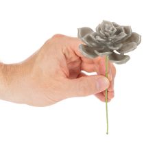Artikel Kunstig sukkulent voks kunstig plante med tråd 8 cm 8 stk.