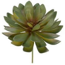 Artikel Kunstig sukkulent som dekorativ plante, grøn, 18 cm, 3 stk.