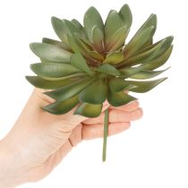 Artikel Kunstig sukkulent som dekorativ plante, grøn, 18 cm, 3 stk.