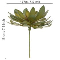Artikel Kunstig sukkulent som dekorativ plante, grøn, 18 cm, 3 stk.