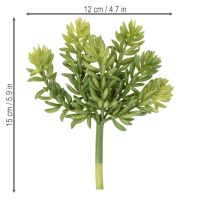Artikel Kunstig sukkulentblomst til vedligeholdelsesfri indretning af opholdsstuer og kontorer, 15 cm, 5 stk.