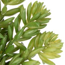 Artikel Kunstig sukkulentblomst til vedligeholdelsesfri indretning af opholdsstuer og kontorer, 15 cm, 6 stk.