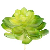 Artikel Kunstig sukkulent, grøn, til dekoration i skål eller vase, 10 cm, 4 stk.